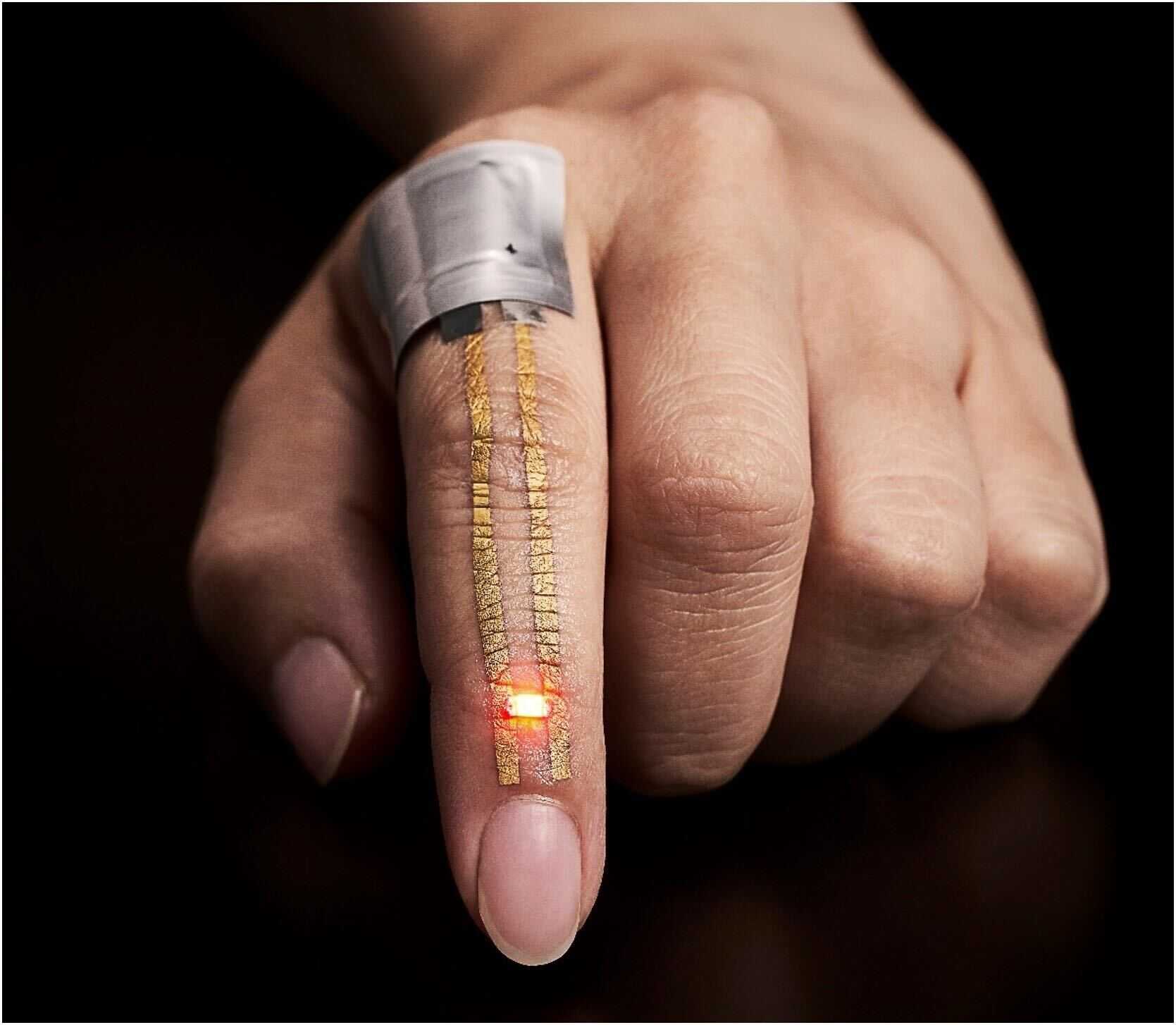 染谷・横田研究室